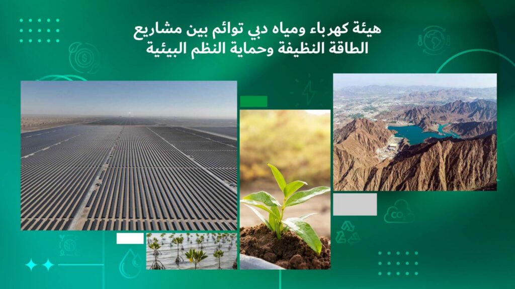 DEWA aligns clean energy projects with environmental stewardship