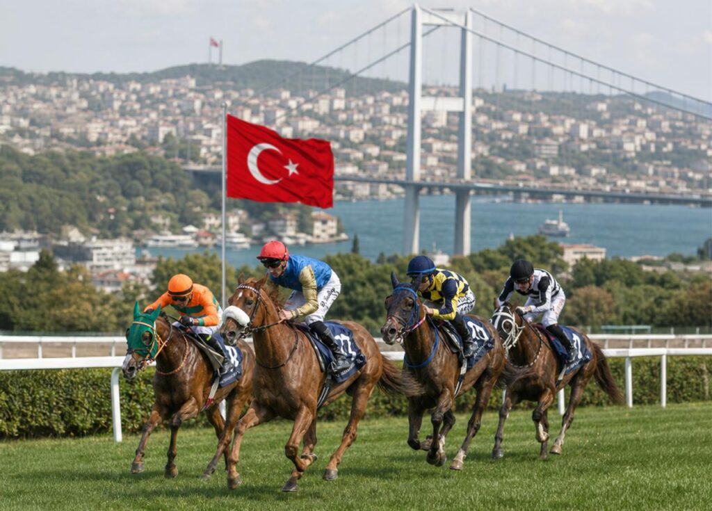 Nine horses to compete for title of UAE President’s Cup for Purebred Arabian Horses in Istanbul
