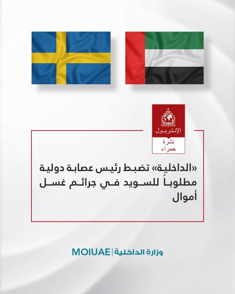 Ministry of Interior arrests international gang leader wanted by Sweden for money laundering crimes