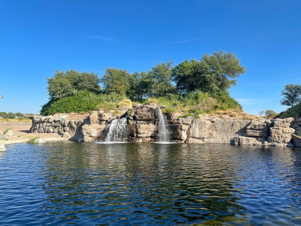 Sharjah Safari opens fifth season tomorrow