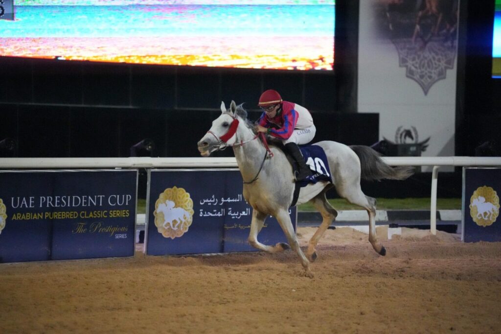 15 horses to compete in UAE President’s Cup for Purebred Arabian Horses in Libya Saturday